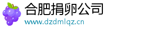 合肥捐卵公司	